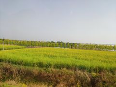 -嵖岈山风景区