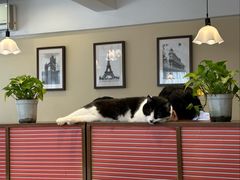 -路易时光(蕴川路店)