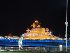 -泰达航母主题公园