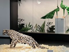-西安曲江艺术博物馆