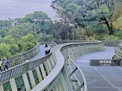 -福道