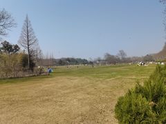-宜兴龙背山森林公园