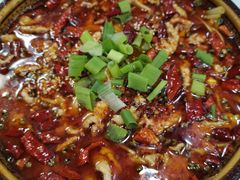 -乡土特色.冷锅鱼.牦牛肉汤锅