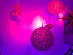 真爱范特西KTV-真爱范特西KTV(交大店)