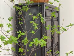 -幽篁里古琴制作中心