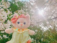 -杭州少年儿童公园