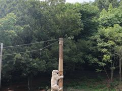 -宁波野生动物园
