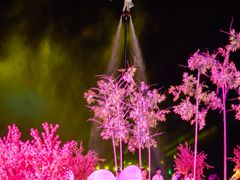 -茅山东方盐湖城景区