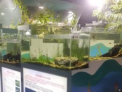 -上海大自然野生昆虫馆(东方明珠·爬宠昆虫探索中心)