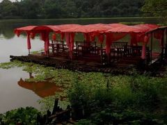 -南宁良凤江国家森林公园