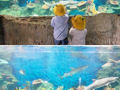 -泉州海丝野生动物世界