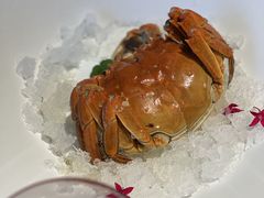 -蘇锦宴·淮扬菜烤鸭·小院(三元桥霄云路店)