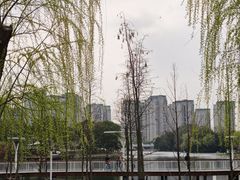 -新江湾城公园