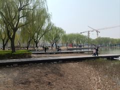 -廊坊文化艺术中心