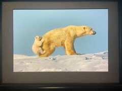 -罗红摄影艺术馆