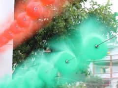 -泉州海丝野生动物世界