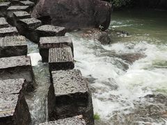 -广州白江湖森林公园