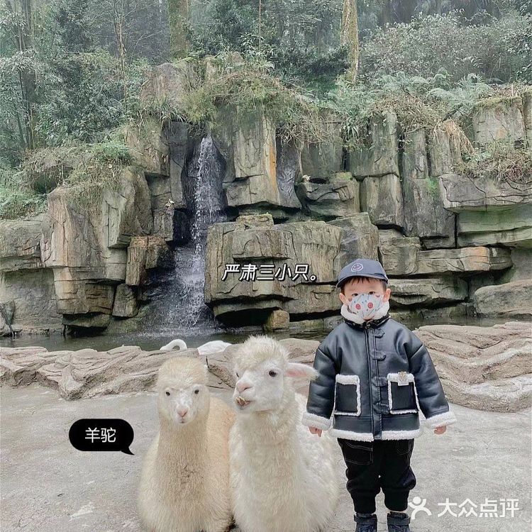 成都周边可投食老虎的超大野生动物世界