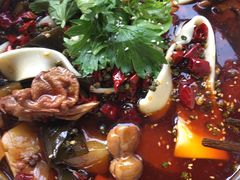 -晓彭肥肠鸡·泡椒鸡火锅(水木天地店)