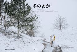 -鱼映像摄影·珍藏级影像品牌