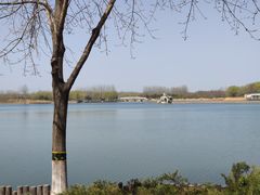 -大兴滨河森林公园