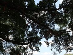 -梅州天地人花园酒店(梅县人民广场店)