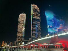-演武大桥观景平台