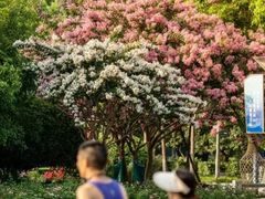 -杭州城北体育公园