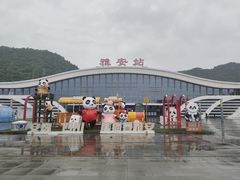 -中国大熊猫保护研究中心雅安碧峰峡基地