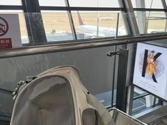 -上海浦东国际机场-T2航站楼