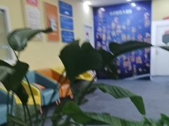 -竞思注意力·专注力·学习能力训练(天一广场中心)