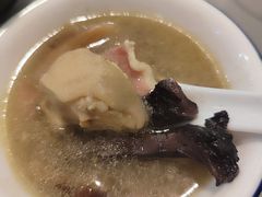 -蘑统田下·野生菌火锅