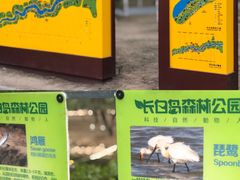 -长白岛森林公园