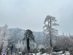 -九华山风景区