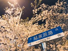 -新疆阿力烧烤