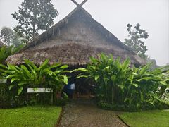 -大象粑粑造纸公园