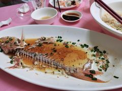 -高佳庄·舟山海鲜(海景旗舰店)