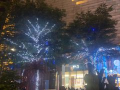 -haxnbauer海森堡德国餐厅(深圳coco店)