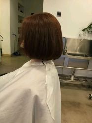 -大象造型