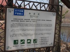 -微山湖红荷湿地景区