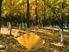 -白塘生态植物园