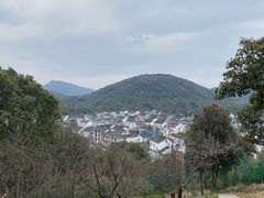-香雪海