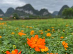 -靖西鹅泉风景区
