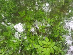 -永州阳明山国家森林公园