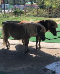 -萌宠亲子动物乐园(槐房万达店)