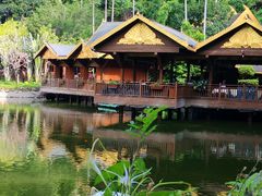 -西双版纳原始森林公园