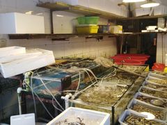 -芦潮港集贸市场