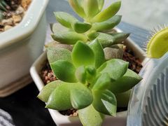 -大漂亮照相馆(宝龙一期店)