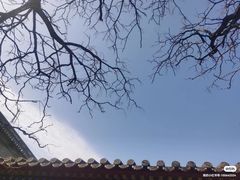 -白云观