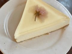 樱花芝士冻-MAISON门前杂货店